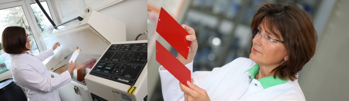 Tipps für Lackierer