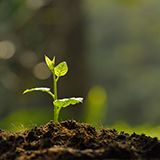 DOING BUSINESS SUSTAINABLY with DREISOL Coatings