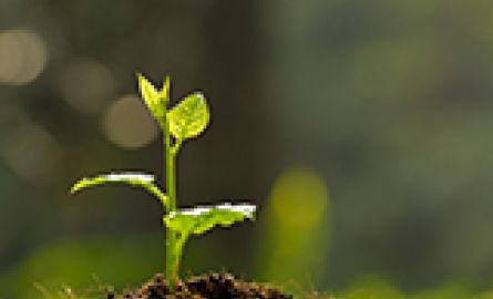 NACHHALTIG WIRTSCHAFTEN mit DREISOL Coatings